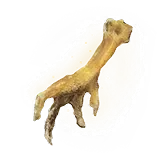 Gold-pickled Fowl Foot
