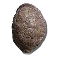 Sacred Great Turtle Shell