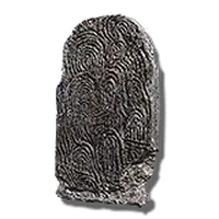 Blood Fingerprint Stone Shield