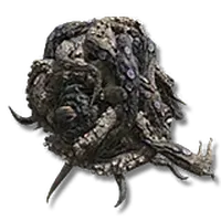 Octopus Head