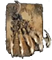 beast-claw.png